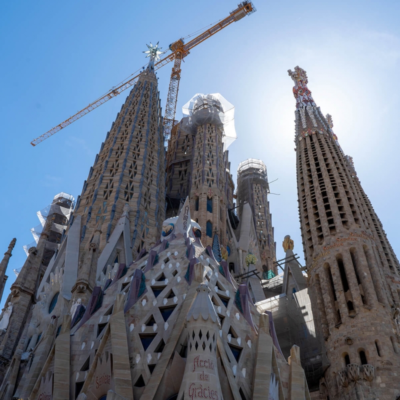 Eix Comercial Sagrada Família (1)