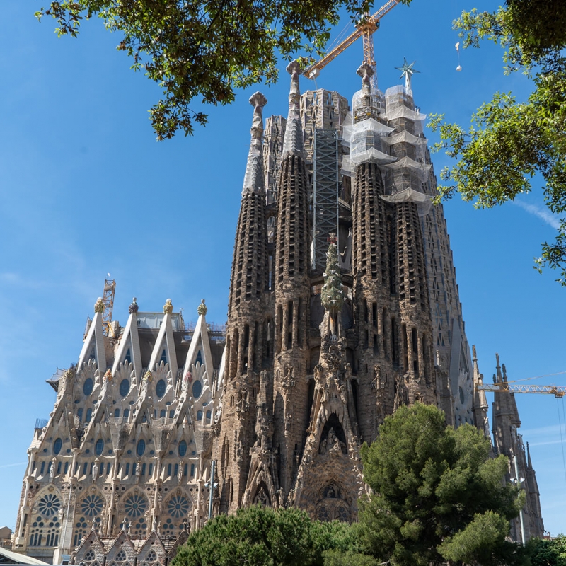 Eix Comercial Sagrada Família (2)