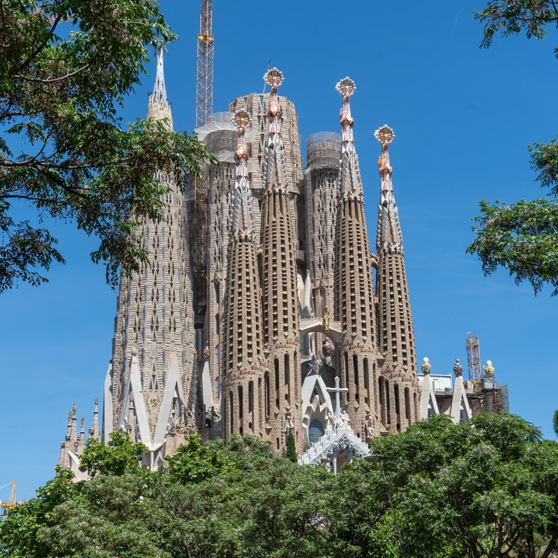 Eix Comercial Sagrada Família (3)